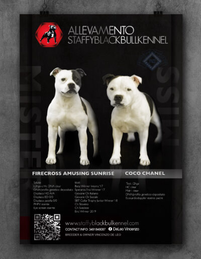 LOCANDINA_staffy